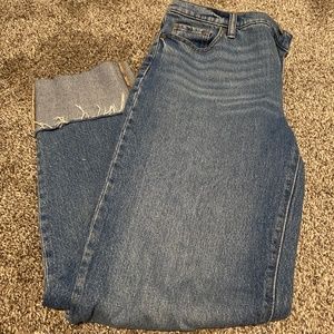 Banana Republic Slouch Jean